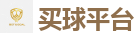 买球平台_2026世界杯 (FIFA WorldCUP)中国下注指定网站